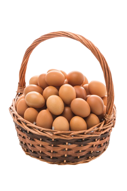 Huevos Orgánicos